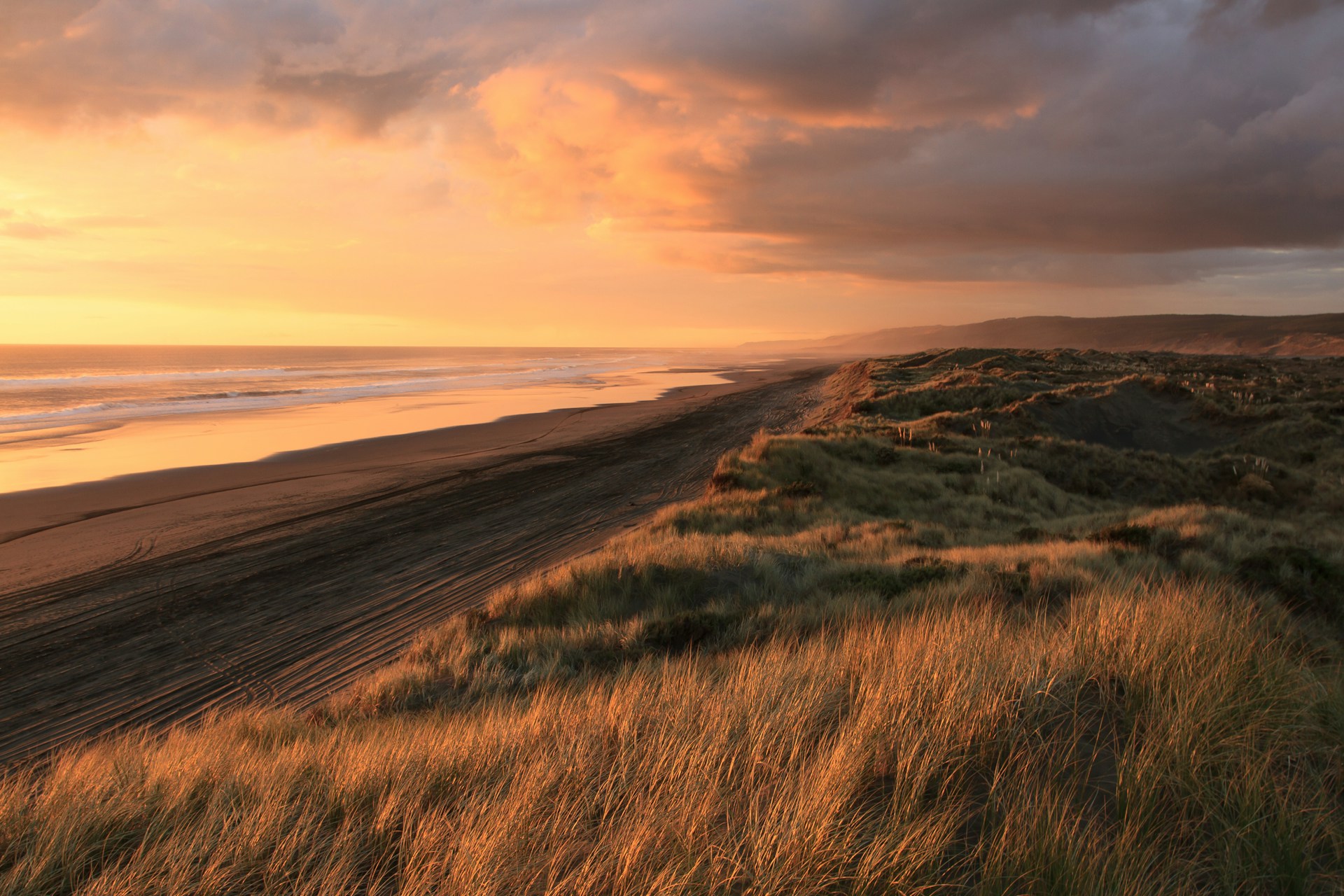 green grass field at the beach at sunset